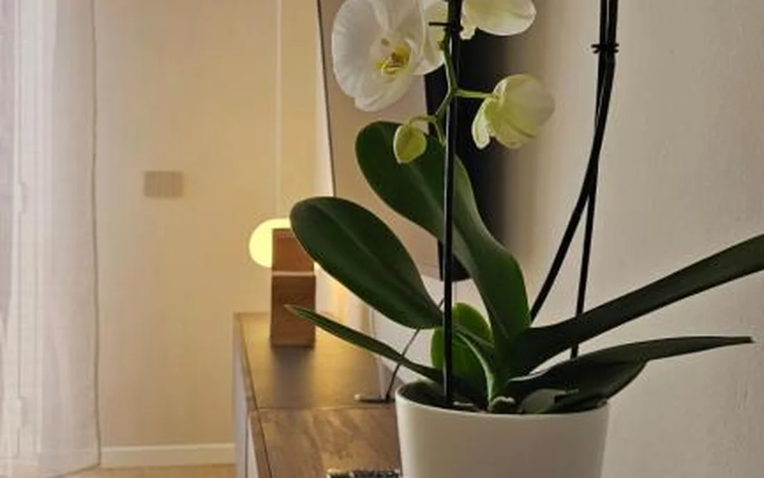 Jack Apartment Milan, Milano (Lombardia)