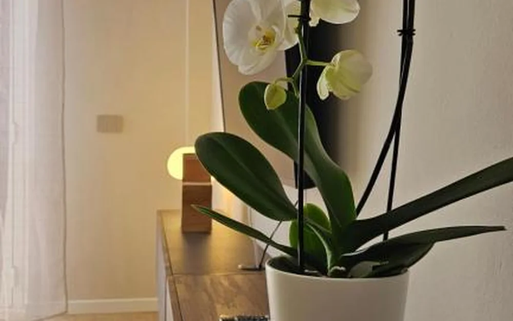 Jack Apartment Milan, Milano (Lombardia)